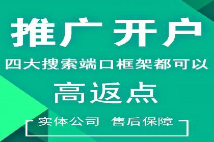 百度竞价排名策略：看这家公司如何逆袭